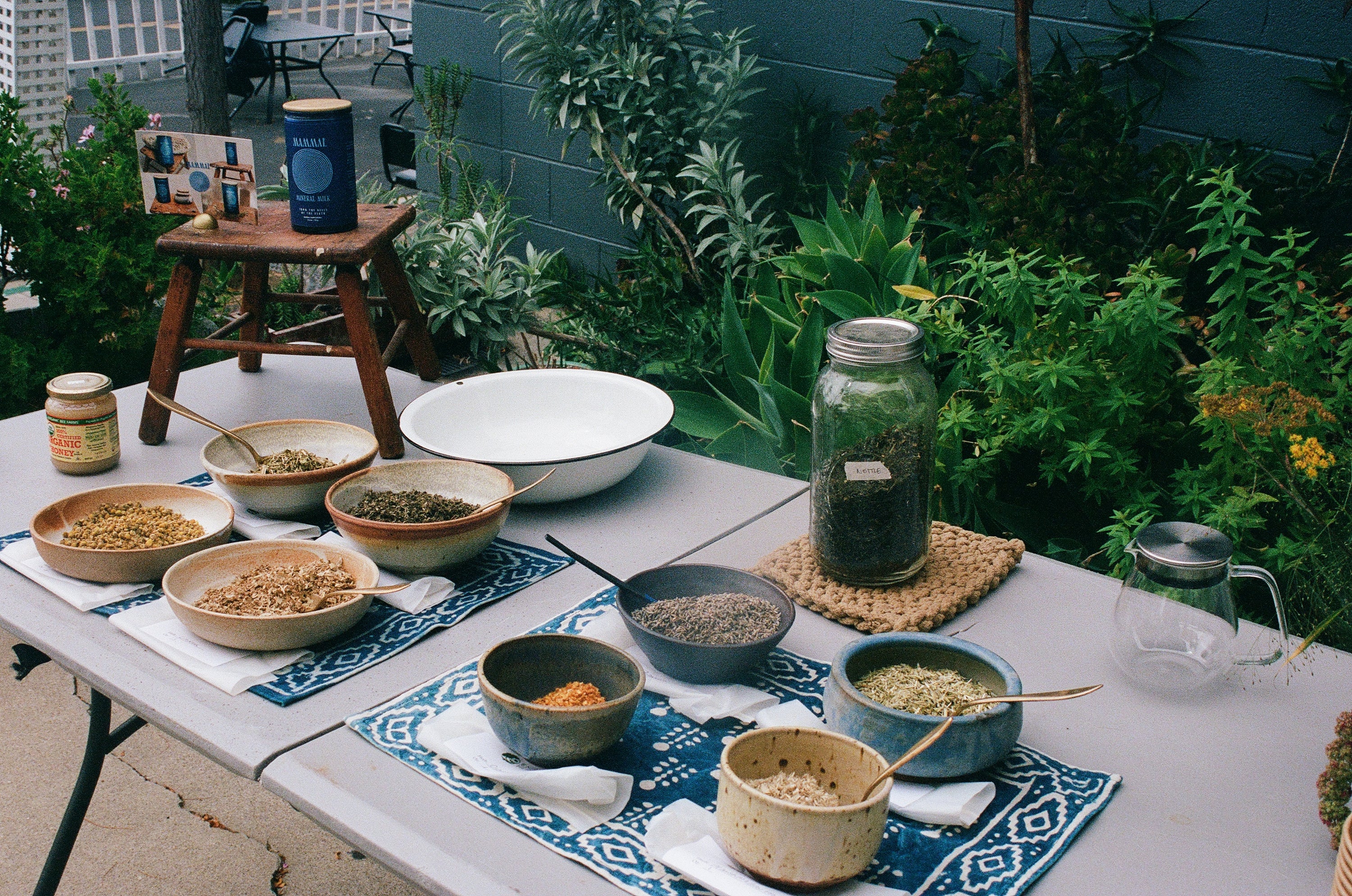 Pre-recorded Workshop: Herbs for Postpartum